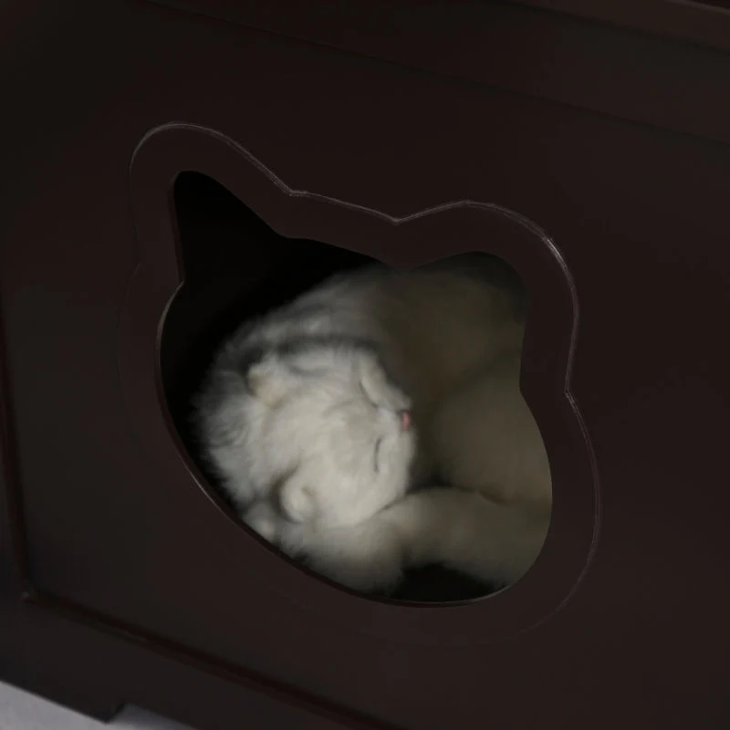 Thumbnail 19
