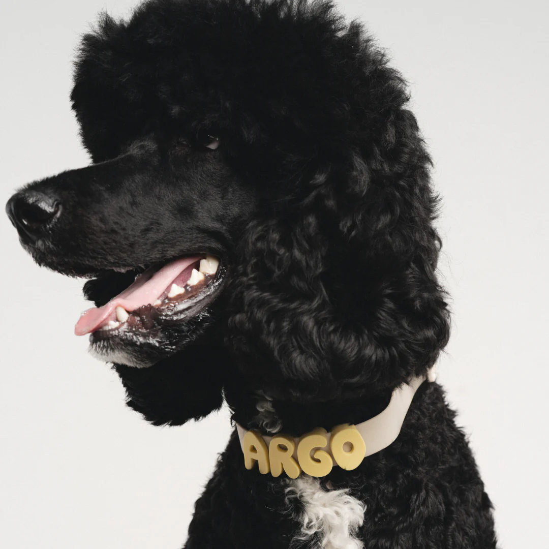 Thumbnail 13